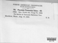 Image Associated With the Occurence